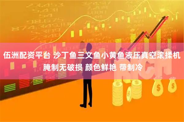 伍洲配资平台 沙丁鱼三文鱼小黄鱼液压真空滚揉机 腌制无破损 颜色鲜艳 带制冷