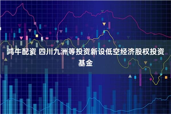 鸿牛配资 四川九洲等投资新设低空经济股权投资基金